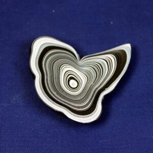 Black and white agate slice on blue.