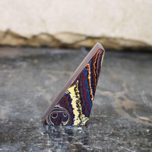 Finished Piece of Fordite – Corvette Fordite – 68.85mm x 28.22mm x 15.1mm (F-020)