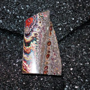 Polished multicolored fordite cabochon on black